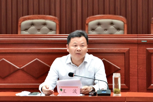 县委副书记、政法委书记王波 - 副本.jpg